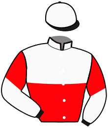 Casaque n°11