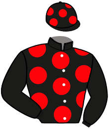 Casaque n°7