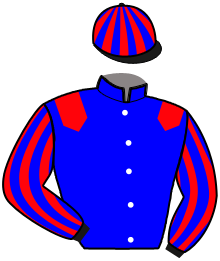 Casaque n°2