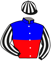 Casaque n°14