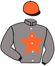 Casaque n°4