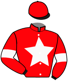 Casaque n°15