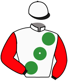 Casaque n°3