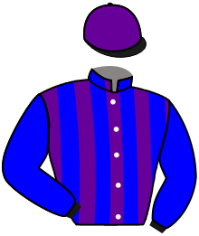 Casaque n°12