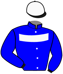 Casaque n°8