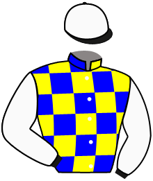 Casaque n°11