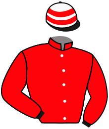 Casaque n°11