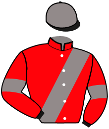 Casaque n°3
