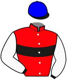 Casaque n°12