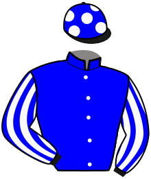 Casaque n°13