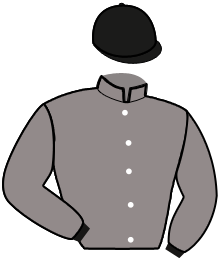 Casaque n°11