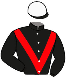 Casaque n°4