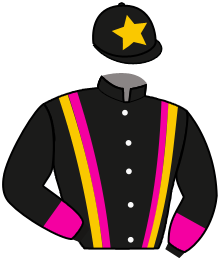 Casaque n°12