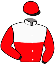Casaque n°10