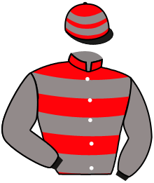 Casaque n°2