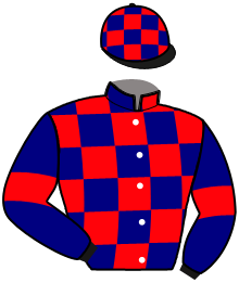 Casaque n°13