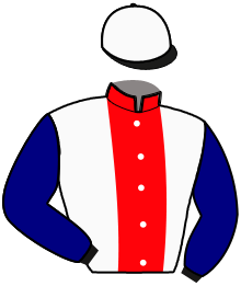 Casaque n°6