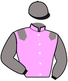 Casaque n°2
