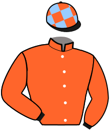 Casaque n°13