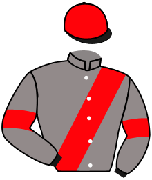 Casaque n°10