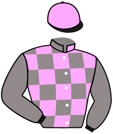 Casaque n°8