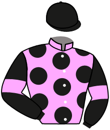 Casaque n°6