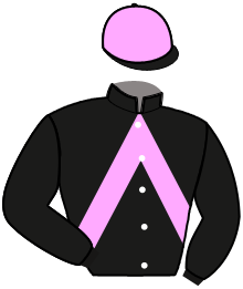 Casaque n°4