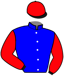 Casaque n°8