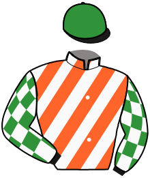 Casaque n°2