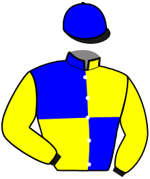 Casaque n°8