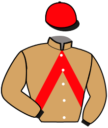 Casaque n°3