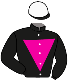 Casaque n°12