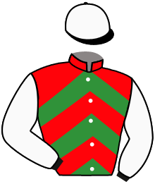 Casaque n°6