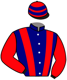 Casaque n°10