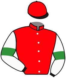 Casaque n°2