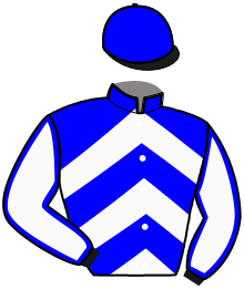 Casaque n°2