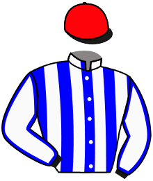 Casaque n°1