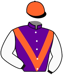Casaque n°2