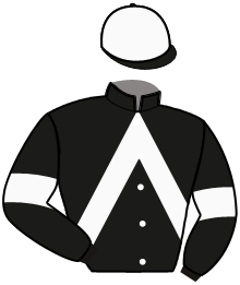 Casaque n°5