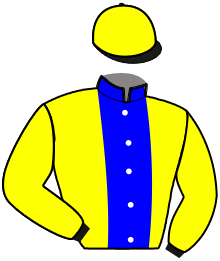Casaque n°3