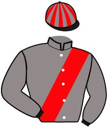 Casaque n°6