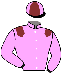 Casaque n°2