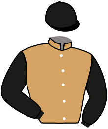 Casaque n°4