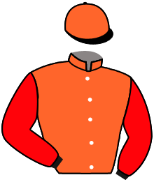 Casaque n°14