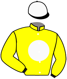 Casaque n°10