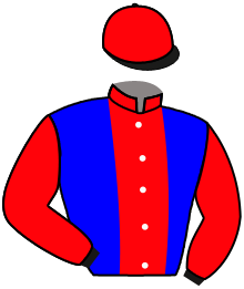 Casaque n°6