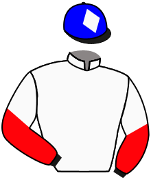 Casaque n°4