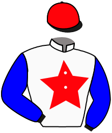 Casaque n°11