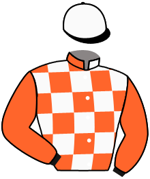 Casaque n°13