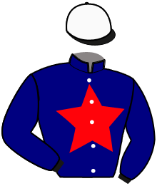 Casaque n°10